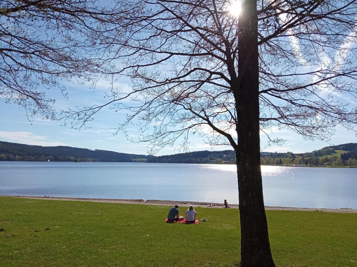 Apartman29 Lipno nad Vltavou Extérieur photo
